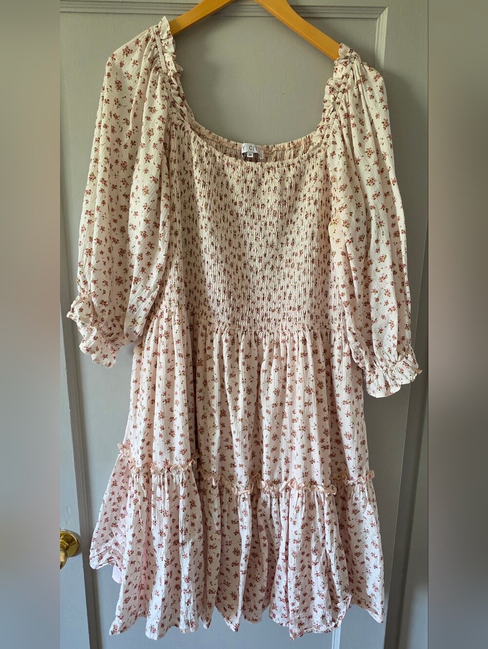 2XL Ivy City Co. Dress
